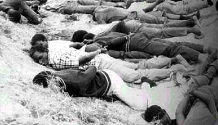 Ziyambi Says Arresting Gukurahundi Perpetrators Is Violation Of Mugabe’s General Amnesty Declaration Ziyambi Says Arresting Gukurahundi Perpetrators Is Violation Of Mugabe’s General Amnesty Declaration