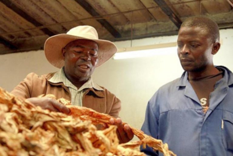 Successful Marondera Farmer Shoots Brother, Commits Suicide, Following US $4M Dispute