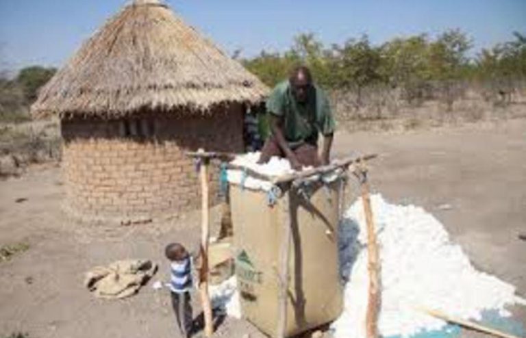 COTTCO Says It Has Paid Cotton Farmers