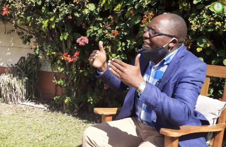 We Absolutely Believe In Alliances – Ngarivhume