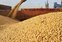 Robbery Steal Farm Produce, Inputs, Equipment Worth US$80 000 Robbery Steal Farm Produce, Inputs, Equipment Worth US$80 000