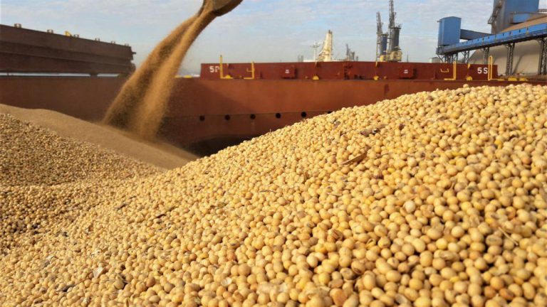 Robbery Steal Farm Produce, Inputs, Equipment Worth US$80 000
