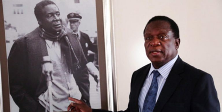 A 32-year-old ZANU PF Member In Trouble Over “ED Not Doing Enough” Remarks
