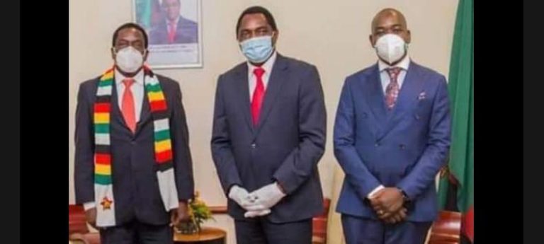 Chamisa Confident He’ll Be Zimbabwe’s Next, Even Without Reforms