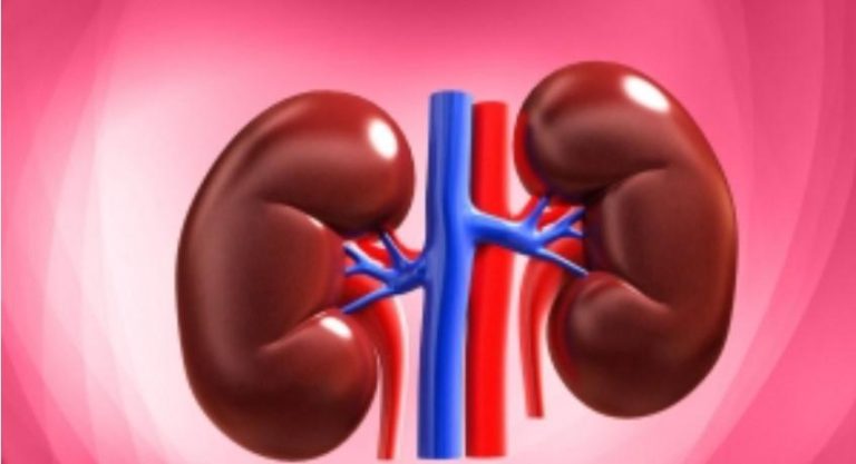 CIMAS Ordered To Compensate Cancer Patient Whose Kidneys Were Destroyed By Wrong Medication