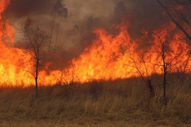 Veld Fire Destroys 3 Brand New Tractors, Other Farm Equipment At A Somabhula Farm