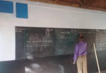 “Schools Have Dollarised” “Schools Have Dollarised”