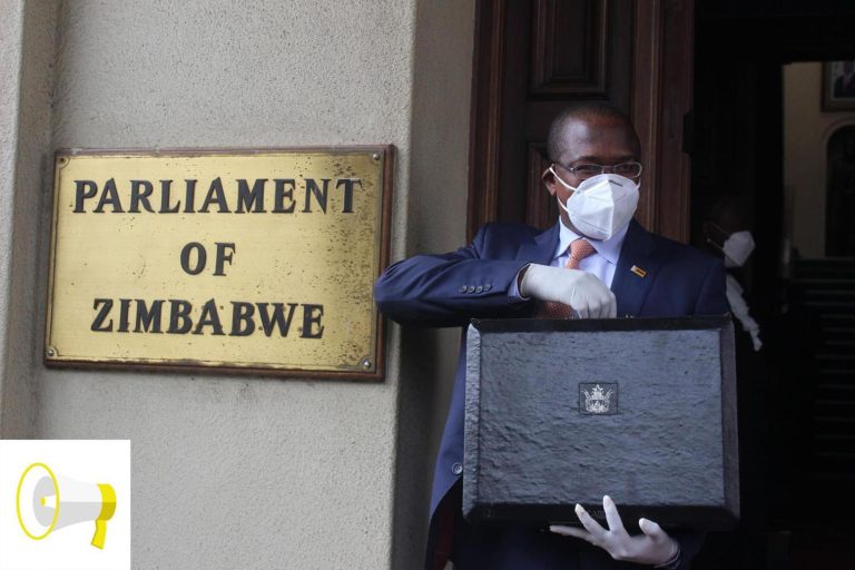 MPs Criticise Mthuli For Reneging On Tax-free Salary Threshold