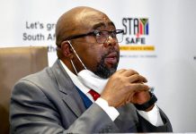 Department says nearly 300 public servants are moonlighting as municipal councillors Department says nearly 300 public servants are moonlighting as municipal councillors