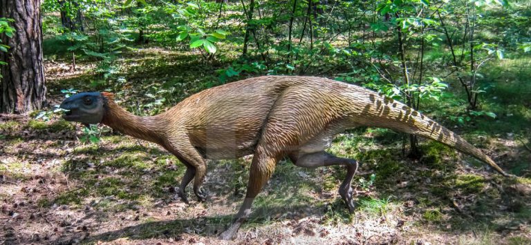 Africa’s Known Oldest Dinosaur Found In Northern Zimbabwe