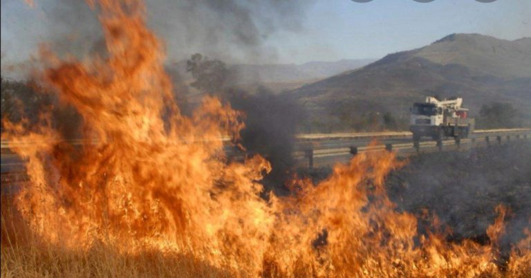 One Million Hectares Destroyed By Fire – EMA