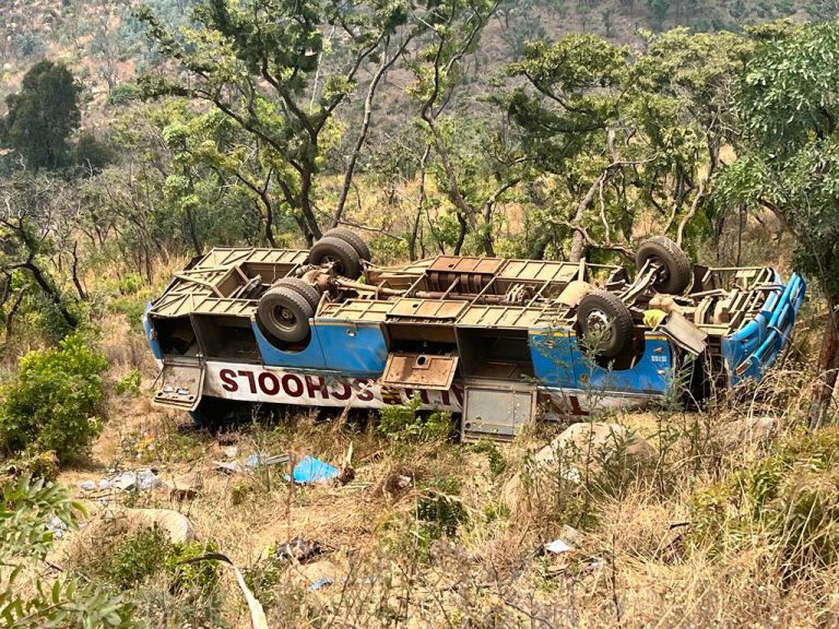 Masarira Urges Govt To Ban Chinese Buses From Schools
