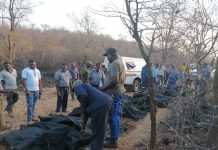 10 Farm Workers Die While Fighting Veld Fire In Esigodini 10 Farm Workers Die While Fighting Veld Fire In Esigodini