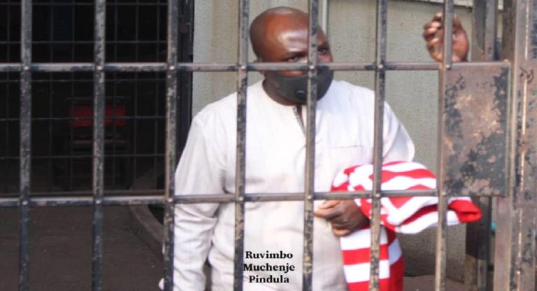 Tsenengamu Says Chamisa Is Weak, Ineffective And Can’t Remove ZANU PF From Power