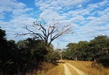 MDC Alliance Senator Accuses ZANU PF Members Of Blocking Development In Nkayi MDC Alliance Senator Accuses ZANU PF Members Of Blocking Development In Nkayi