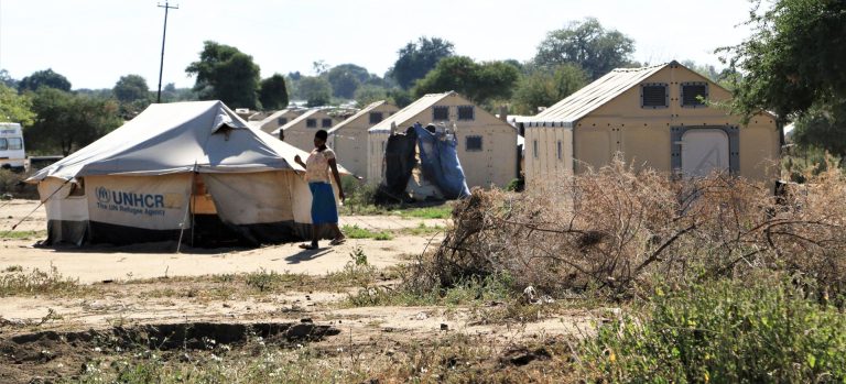 Tongogara Refugees Appeal For More Irrigated Land