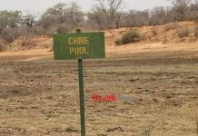 Climate Change Hits Mana Pools National Park Climate Change Hits Mana Pools National Park