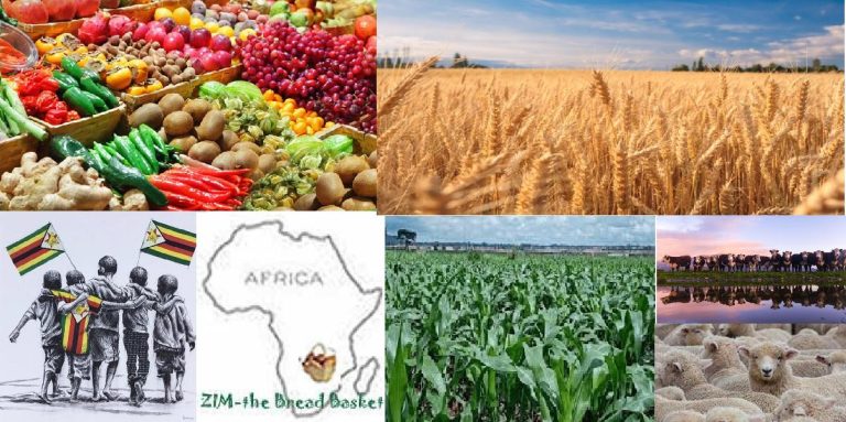 “Zimbabwe Will Again Be The Breadbasket Of Africa” – AfDB President