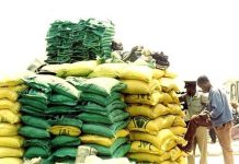 140 Bags Of Fertiliser Stolen Before Distribution To Lupane Villagers 140 Bags Of Fertiliser Stolen Before Distribution To Lupane Villagers