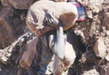 Gold Panners Wreak Havoc In Kwekwe Residential Suburb Gold Panners Wreak Havoc In Kwekwe Residential Suburb