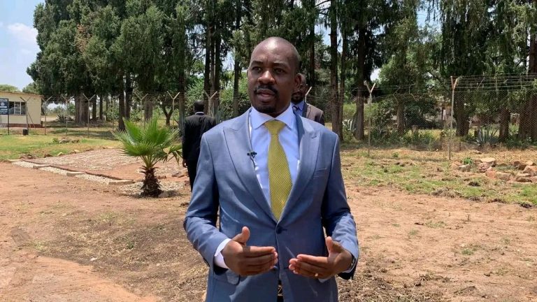 Mnangagwa Bribing CCC MPs To Avert “Bhora Musango”, Says Chamisa