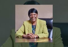 Chipo Mtasa Steps Down As TelOne Managing Director Chipo Mtasa Steps Down As TelOne Managing Director