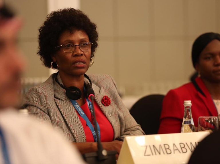 “Commissioning Of Hwange Units 7 & 8 Will Take Time”