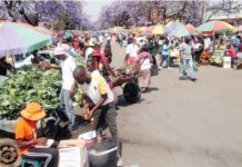 Councillors Block Reopening Of Fifth Avenue Market In Bulawayo Councillors Block Reopening Of Fifth Avenue Market In Bulawayo