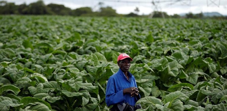Tobacco Farmers Demand 100% Forex Retention