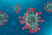 Zimbabwe Records Slight Increase In New Coronavirus Cases Zimbabwe Records Slight Increase In New Coronavirus Cases