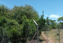 Villagers Vandalise Hospital Fence To Create Shorter Route Villagers Vandalise Hospital Fence To Create Shorter Route
