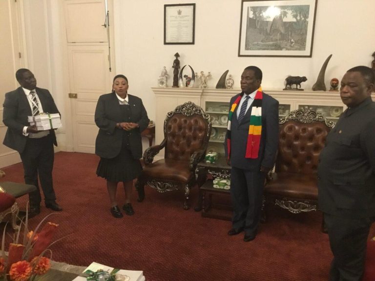 Parliament Breaks Recess To Debate ZEC Delimitation Report