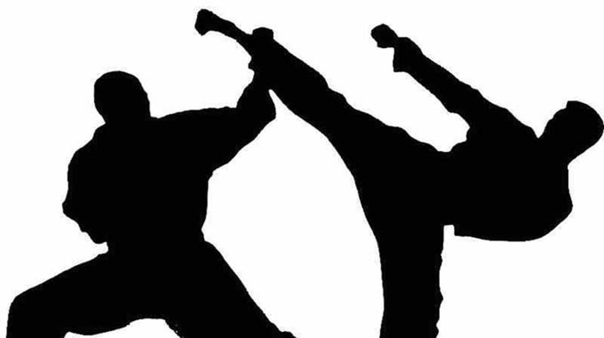 Zimbabwean Karatekas Pull Out Of Asian Championships Citing Financial Constraints Zimbabwean Karatekas Pull Out Of Asian Championships Citing Financial Constraints