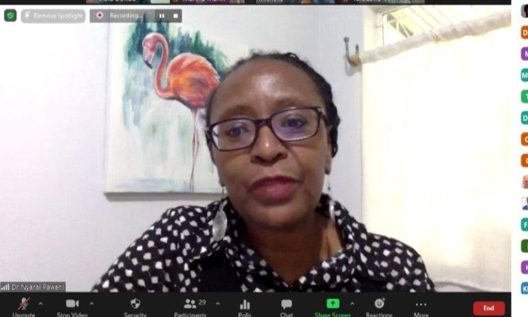 Renowned Mental Health Doctor And Therapist Dr Nyarai Paweni Dies