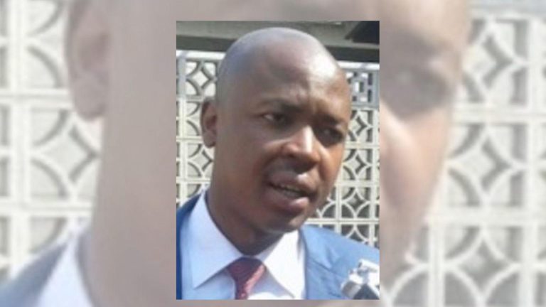 Lawyer Beaten: LSZ Criticises Police “For Taking Front-row Seat To Violate Rights Of All Citizens”