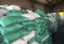 Gutu Village Heads Reject Free Presidential Inputs Gutu Village Heads Reject Free Presidential Inputs