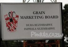 10 GMB Workers Suffer Burns After Explosion At Chegutu Depot 10 GMB Workers Suffer Burns After Explosion At Chegutu Depot