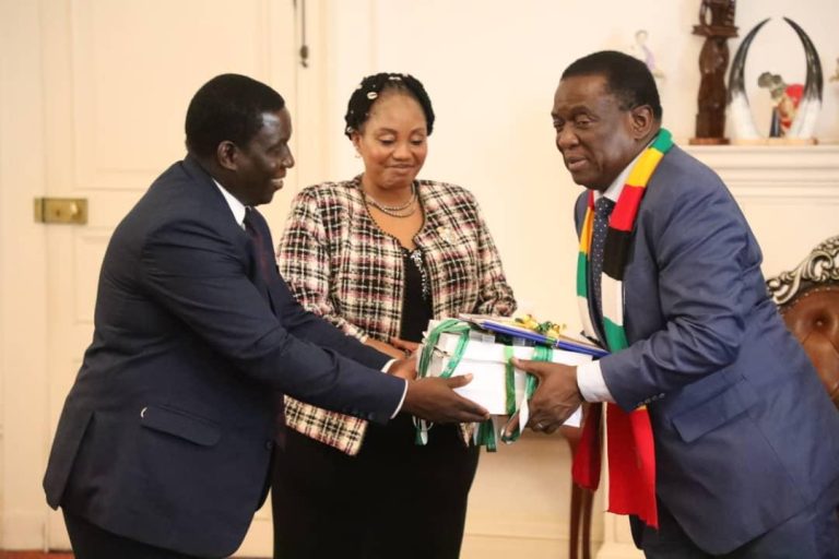 ZEC’s Final Delimitation Report Not Yet Submitted – Charamba