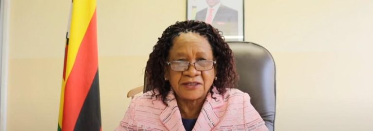 Govt Says Not Ready To Roll Out Free Basic Education