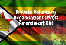 United Nations Warn Mnangagwa Against Signing The PVO Bill Into Law United Nations Warn Mnangagwa Against Signing The PVO Bill Into Law