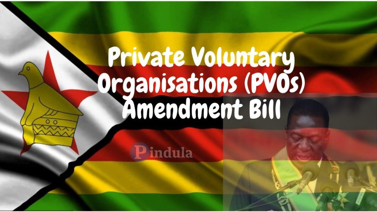 United Nations Warn Mnangagwa Against Signing The PVO Bill Into Law