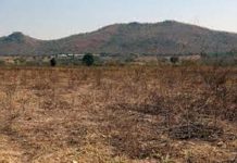 Govt Announces Plans To Repossess Unproductive Farms Govt Announces Plans To Repossess Unproductive Farms