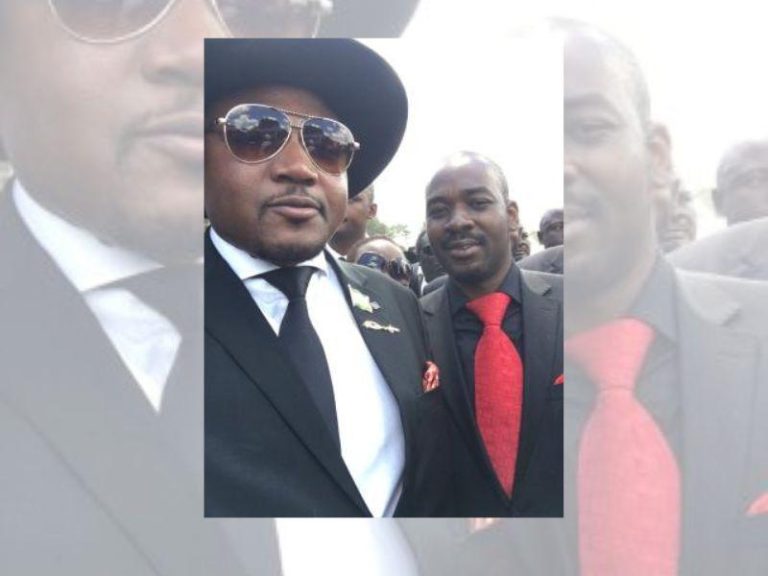 Senior ZANU PF Officials Eye Energy Mutodi’s Seat