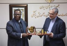 Zimbabwe eager to use Iranian expertise in medical sector Zimbabwe eager to use Iranian expertise in medical sector