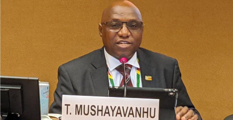 Taonga Mushayavanhu Appointed Overall Head Of The President’s Secretariat