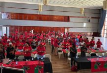 EFF Plans To Shutdown South Africa On 20 March EFF Plans To Shutdown South Africa On 20 March