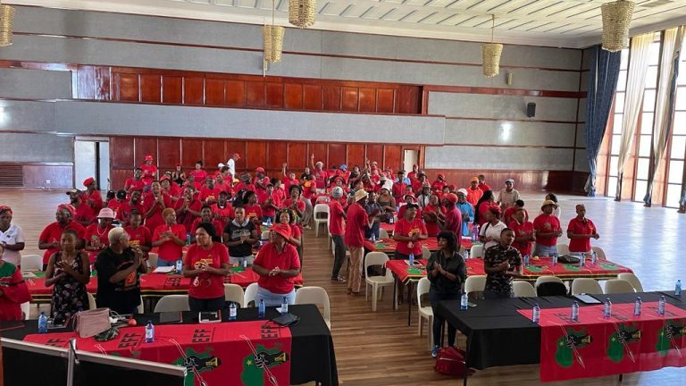 EFF Plans To Shutdown South Africa On 20 March