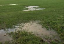 Stadium Crisis: PSL Matches To Be Played As Scheduled Stadium Crisis: PSL Matches To Be Played As Scheduled