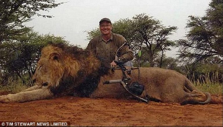 UK Votes To Ban Imports Of Hunting Trophies Of Endangered Animals