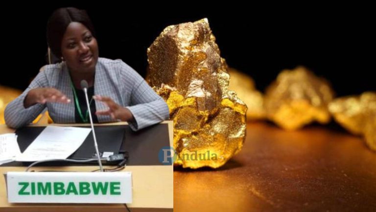 ZANU PF Won’t Act On Gold Mafia – Mamombe